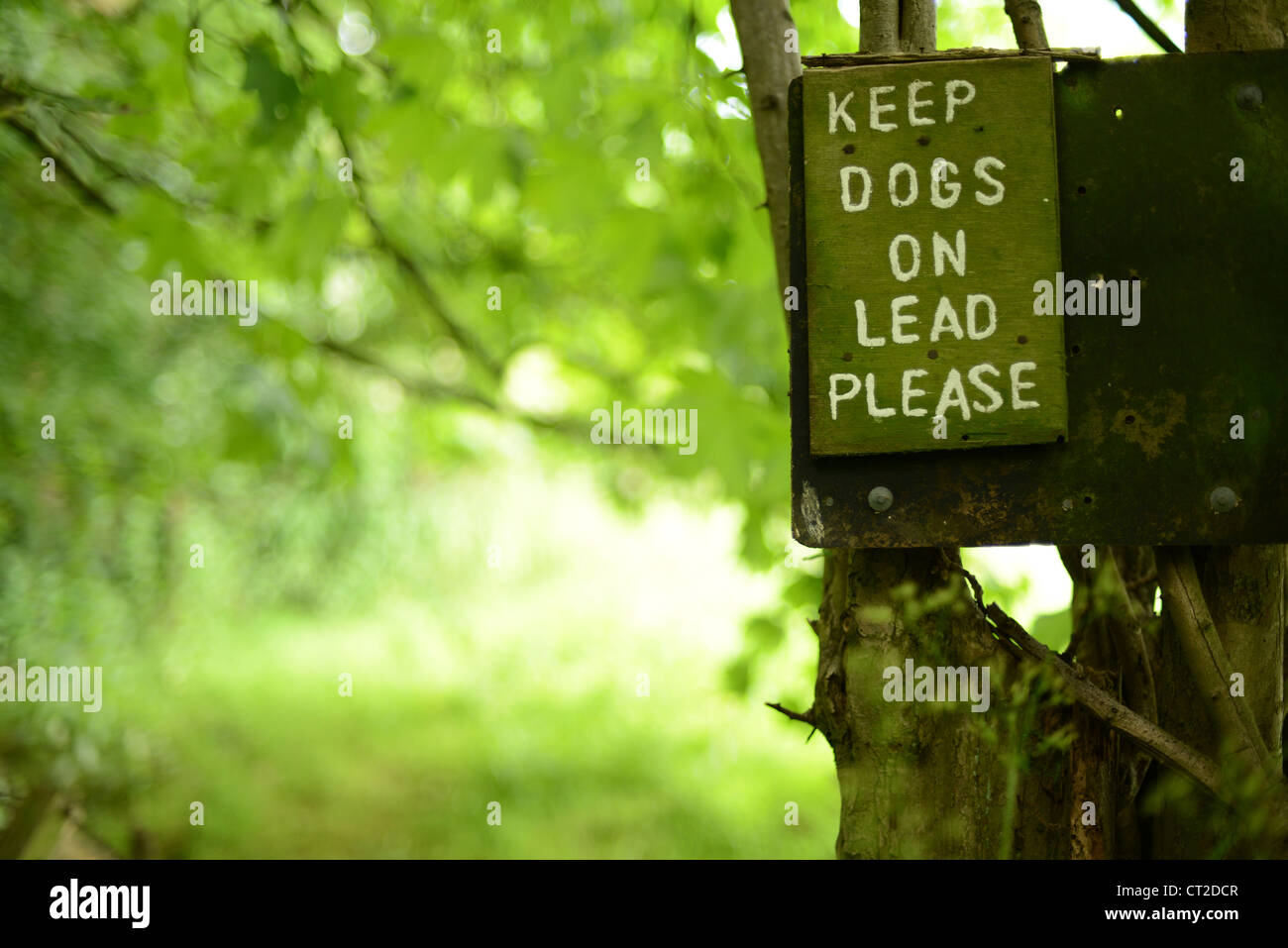 Keep dogs on lead. Signpost on a sheep farm Stock Photo - Alamy