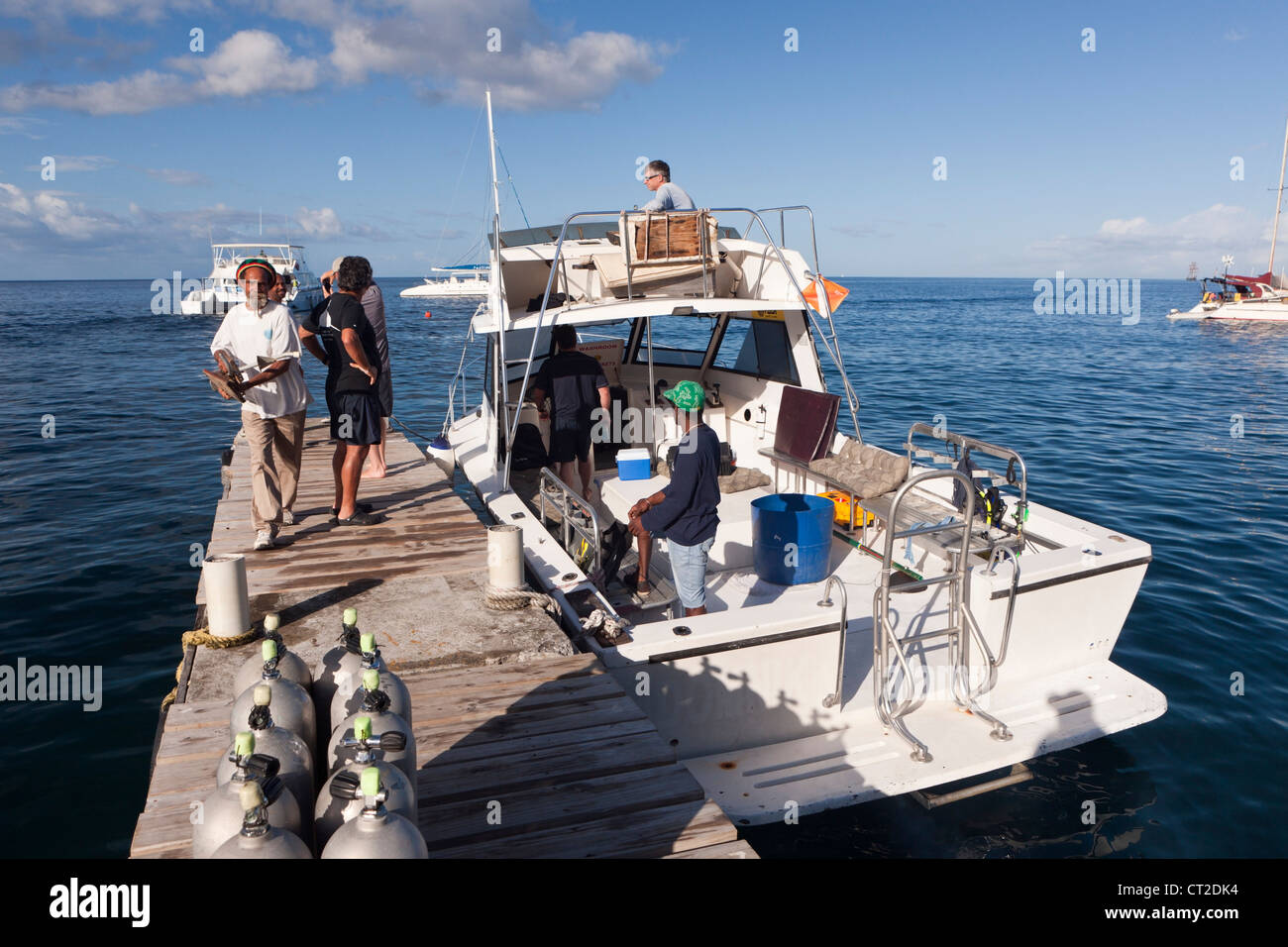 Whale watching Trip, Caribbean Sea, Dominica Stock Photo
