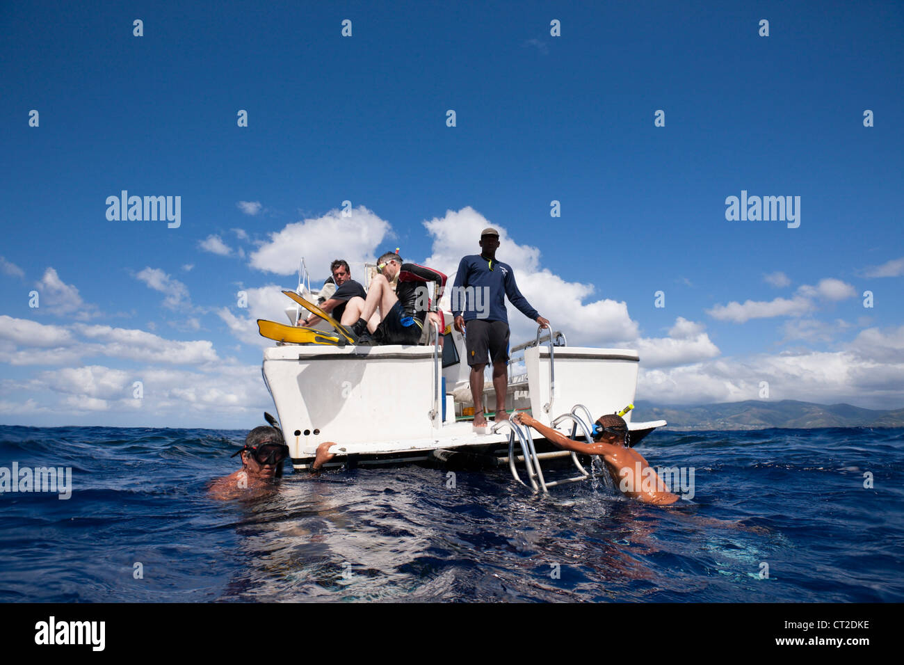 Whale watching Trip, Caribbean Sea, Dominica Stock Photo