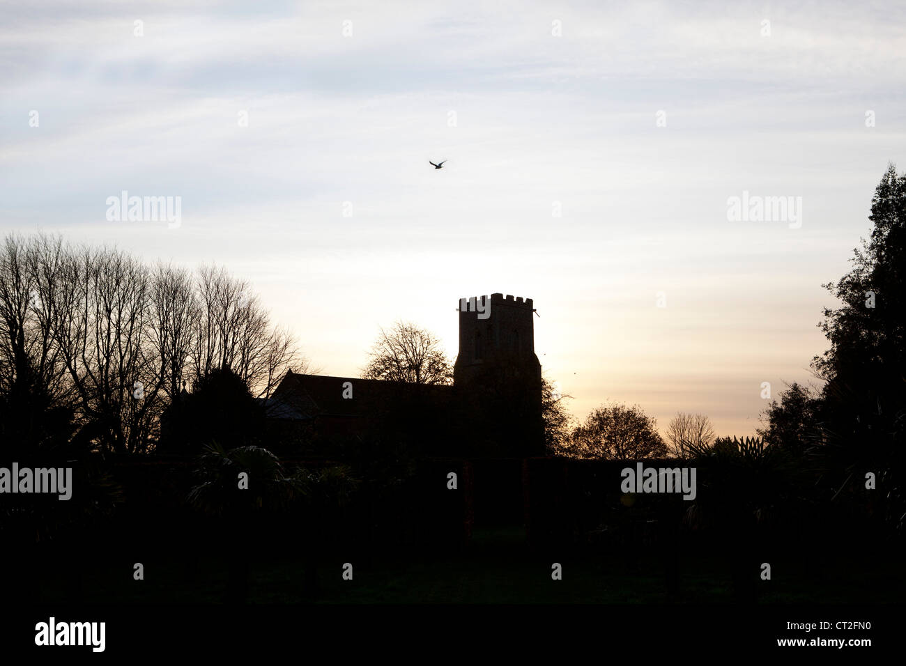 East Ruston Old Vicarage Gardens, Norfolk, Winter (Alan Gray and Graham Robeson). View of East Ruston village church Stock Photo