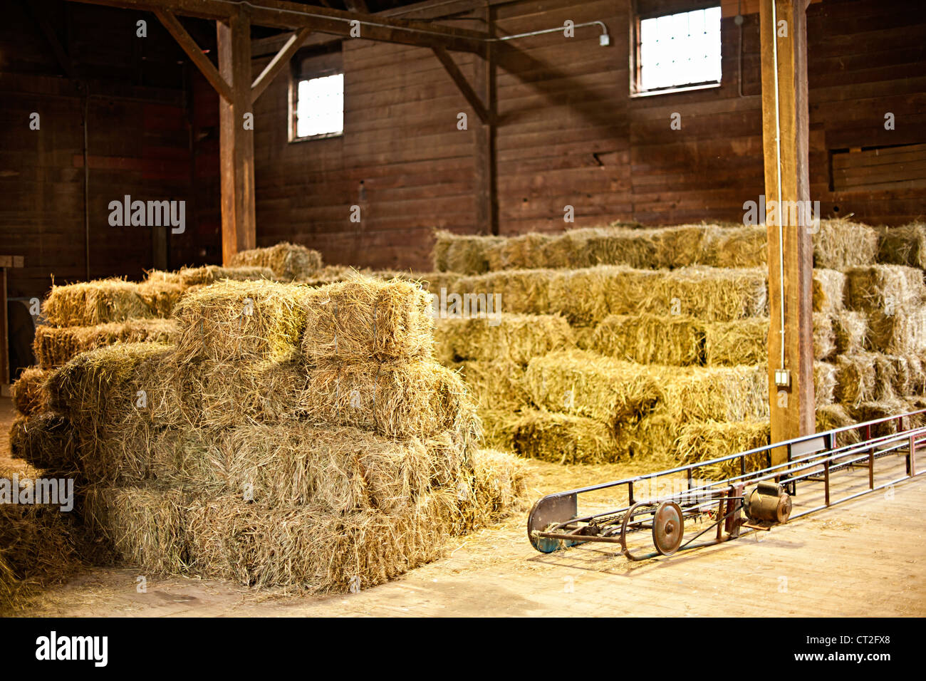 Interior of barn with hay bales stacks and conveyor belt Stock Photo