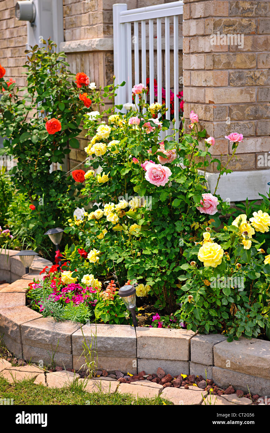 Natural stone landscaping in home rose garden Stock Photo