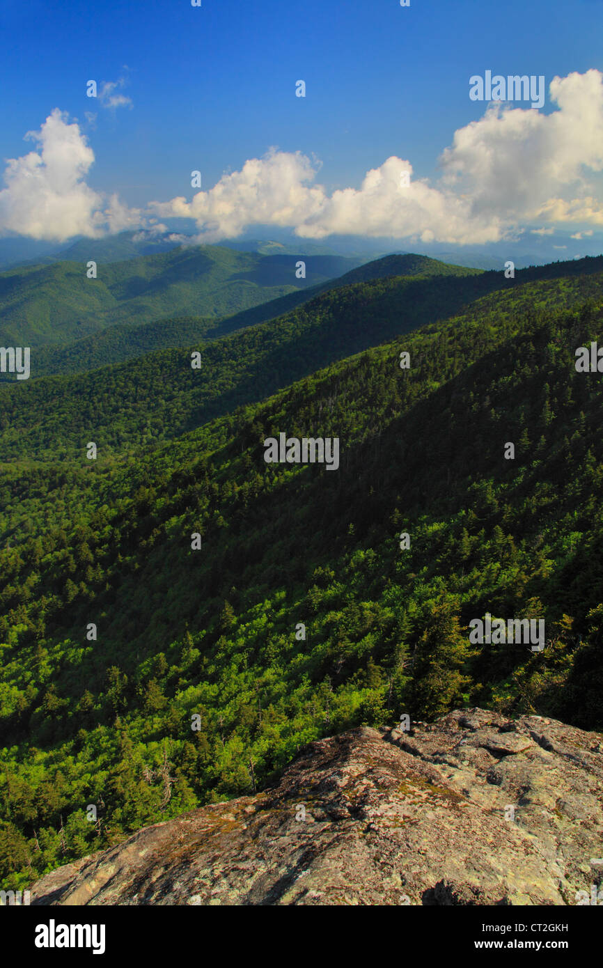 View From Roan High Bluff, Roan Mountain, Carver's Gap, Tennessee / North Carolina, USA Stock Photo