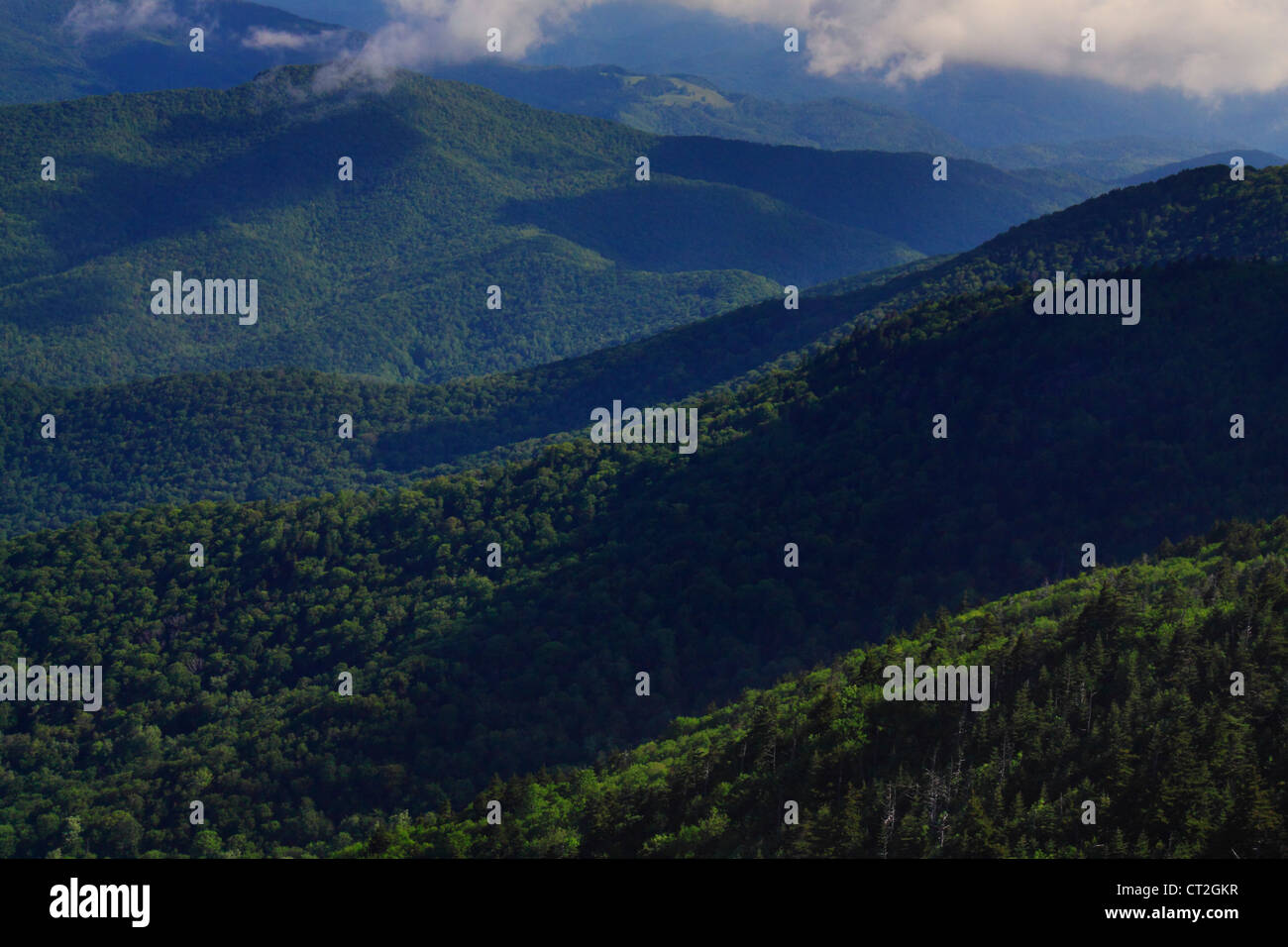 View From Roan High Bluff, Roan Mountain, Carver's Gap, Tennessee / North Carolina, USA Stock Photo