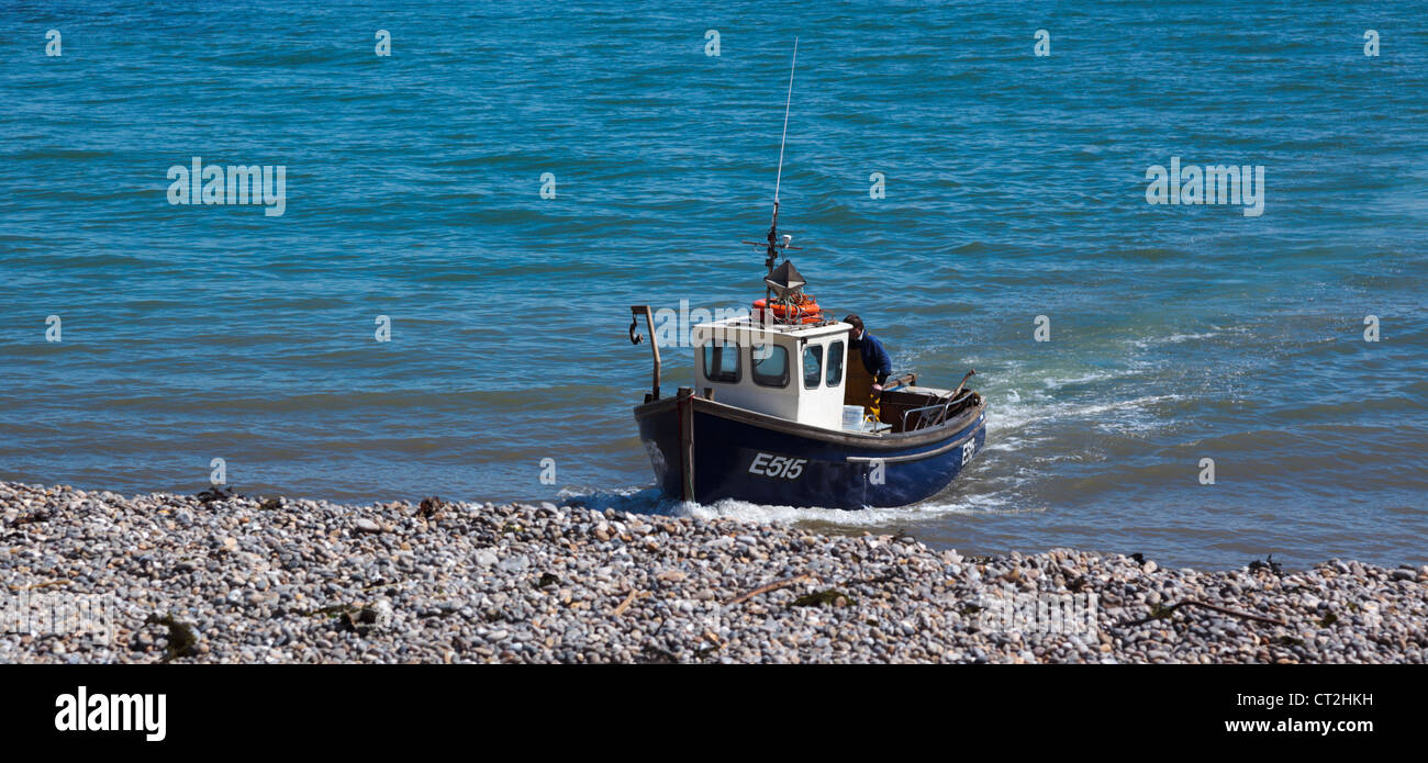 Fishing boat being winched up onto the pebble beach at Beer Devon England UK Stock Photo