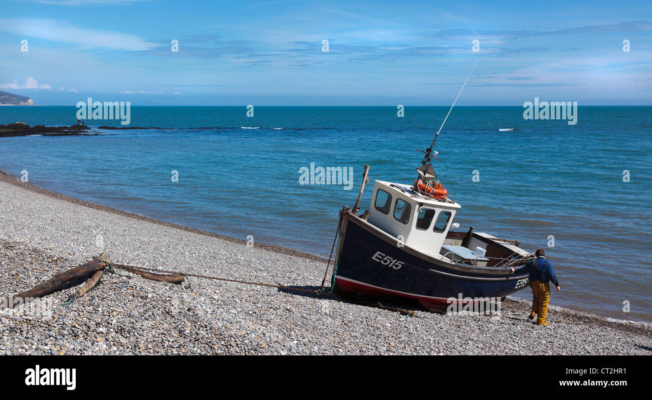 Fishing boat being winched up onto the pebble beach at Beer Devon England UK Stock Photo