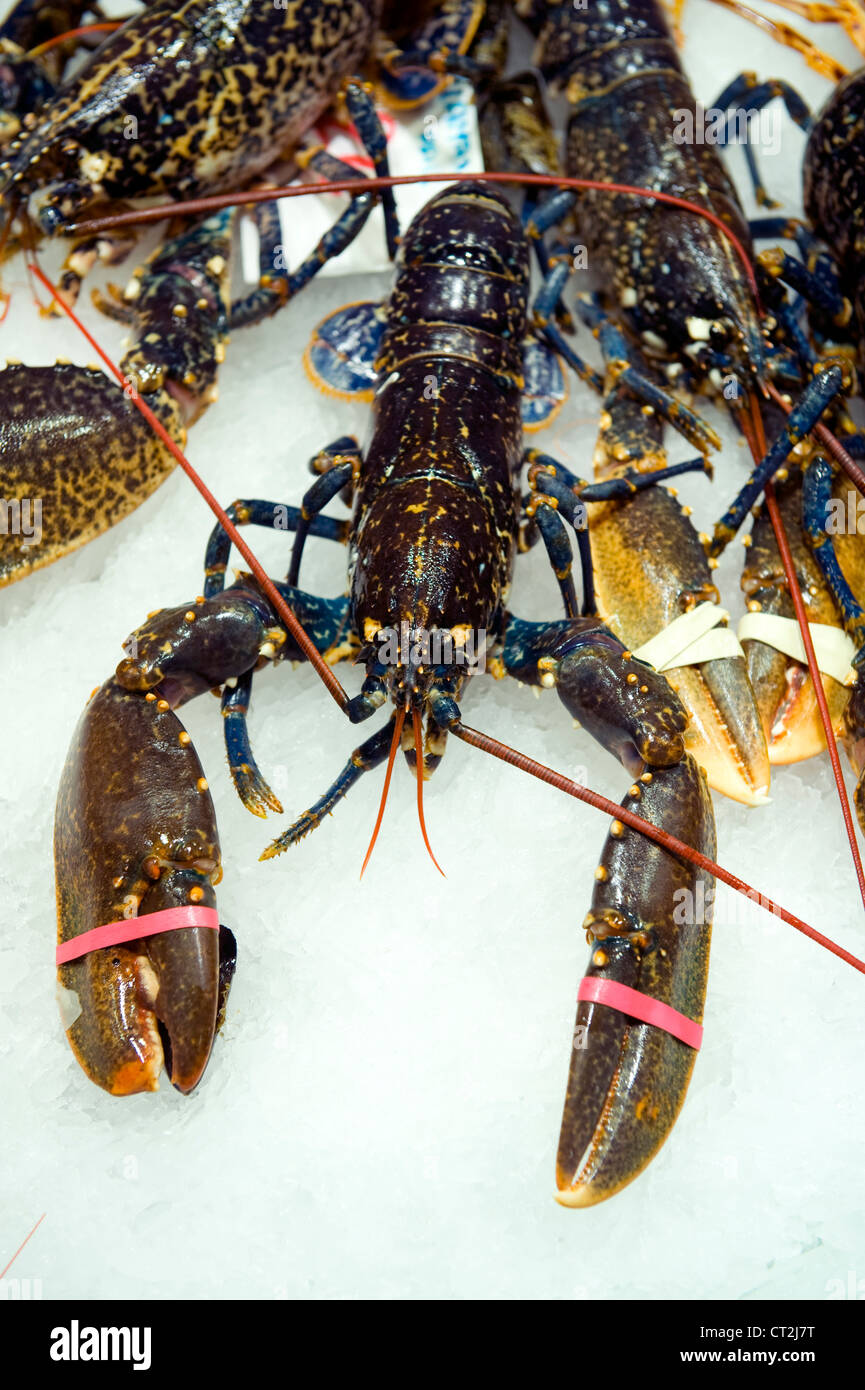 fresh lobster on a fishmonger stall Stock Photo