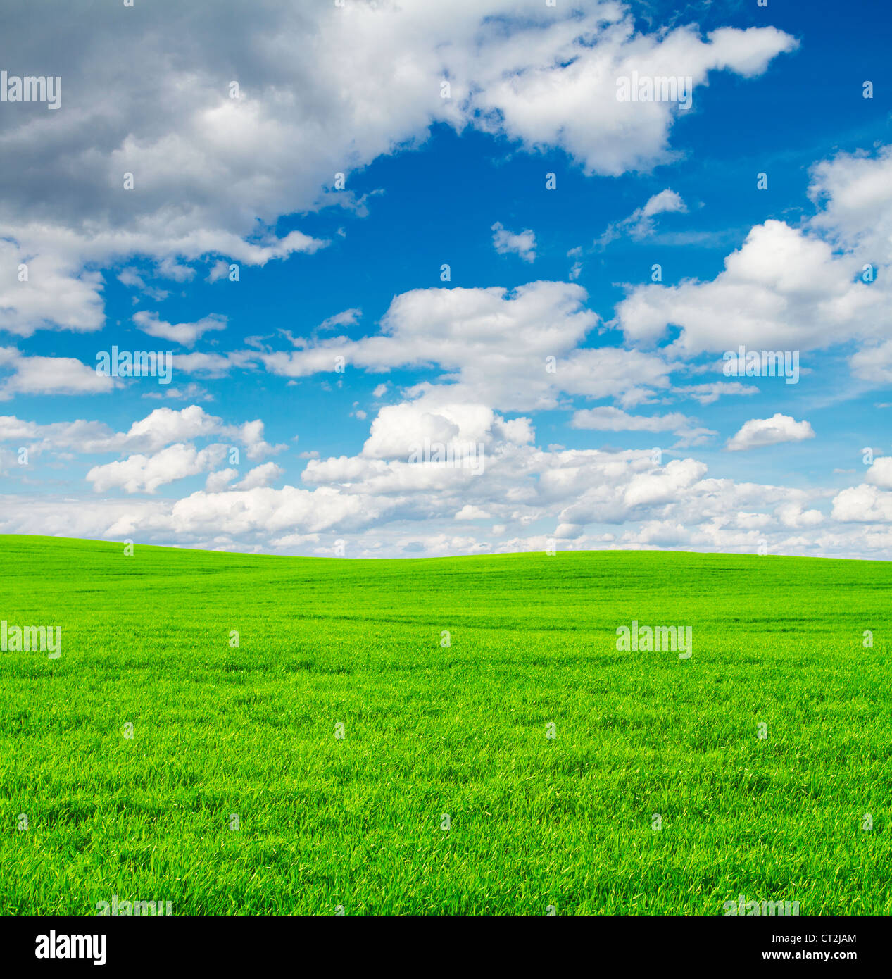Green field and blue sky background Stock Photo - Alamy