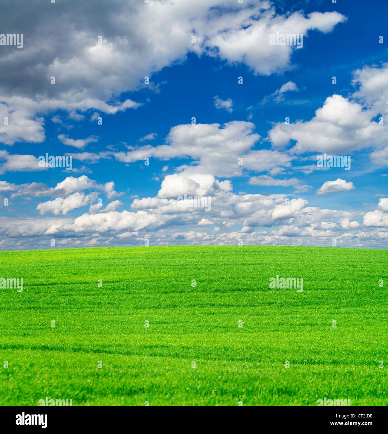 Green field and blue sky background Stock Photo - Alamy