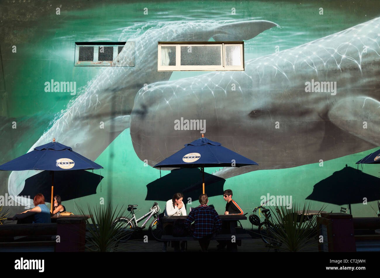 Whale-watching mural at restaurant in Kaikoura, South Island of New Zealand 3 Stock Photo