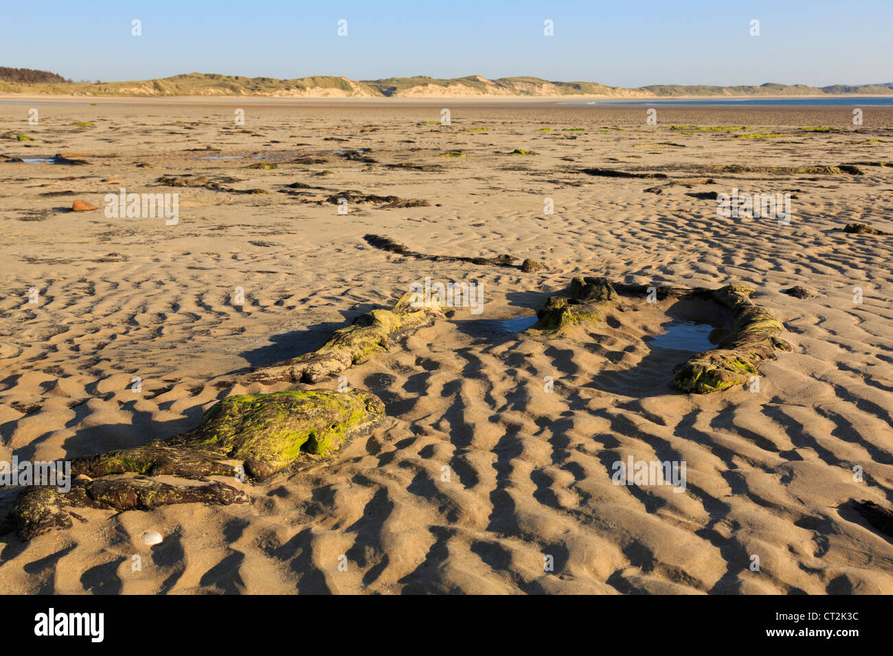 View along the sandy beach in Dunnet Bay at low tide in the evening. Dunnet, Caithness, Scotland, UK Stock Photo