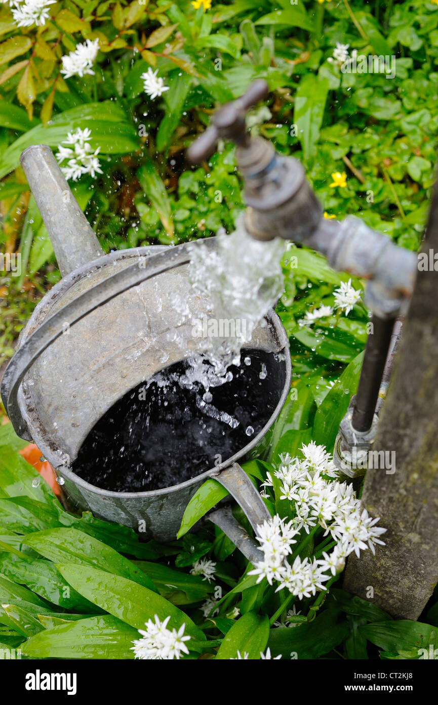Garden water standpipe hi-res stock photography and images - Alamy