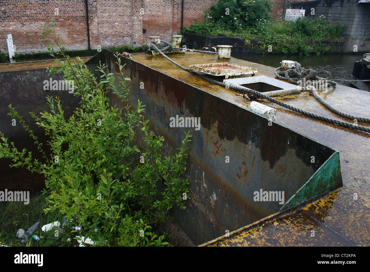 plants growing in disused boat on river trent Stock Photo