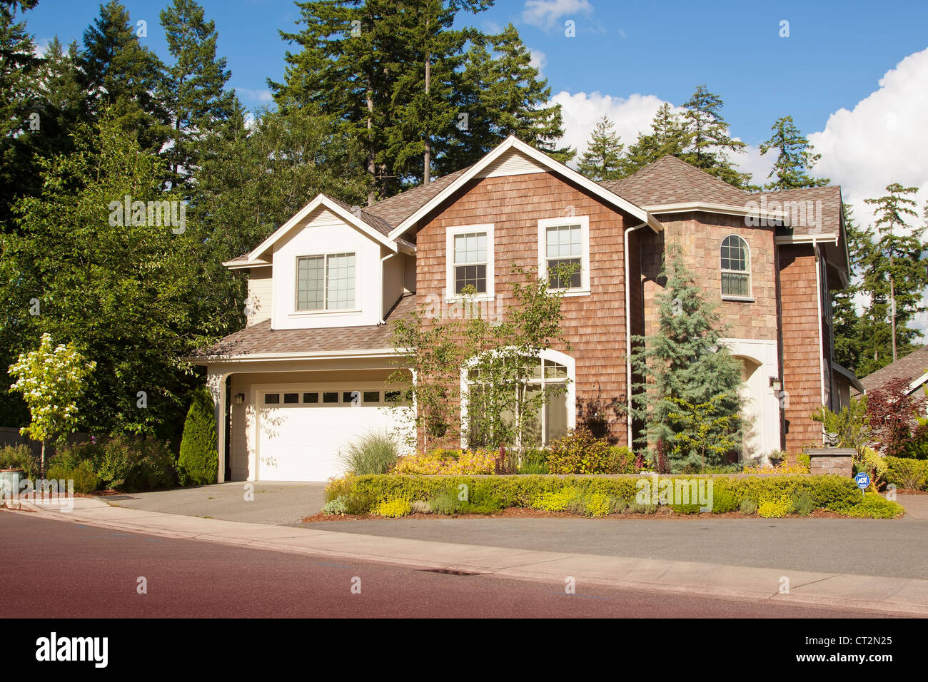 new beautiful American luxury house at sunny day with green grass Stock ...