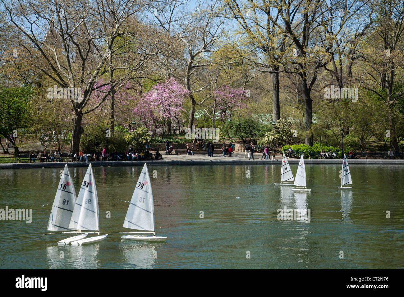 Remote Control Sailboats, Conservatory Water in Central Park, New York