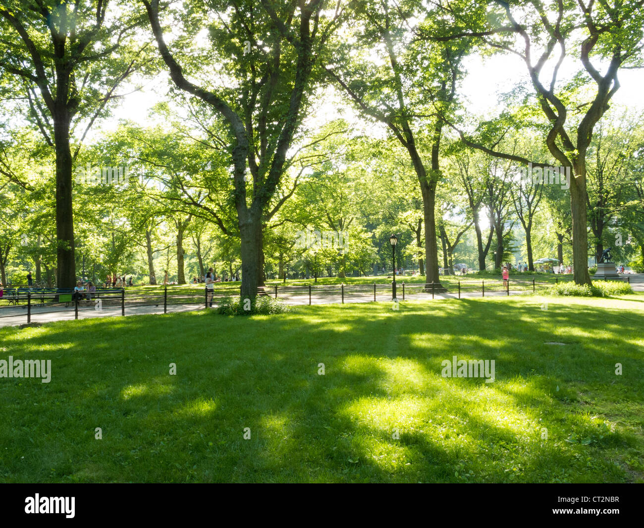 Central Park, NYC Stock Photo