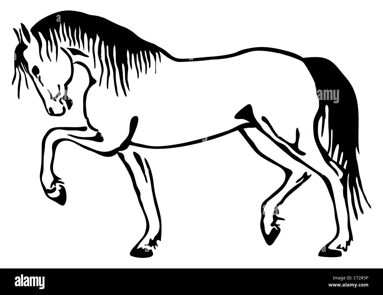 Horse vector sketch Stock Photo
