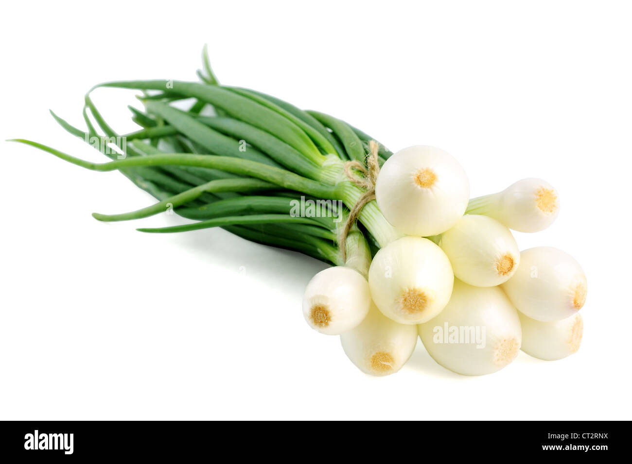 Bunch of green onion isolated on white background Stock Photo - Alamy