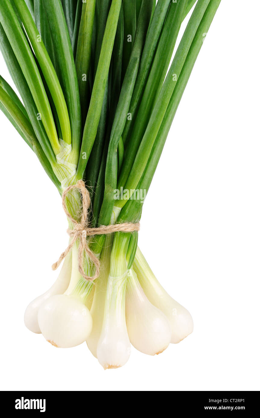 Bunch of green onion isolated on white background Stock Photo - Alamy