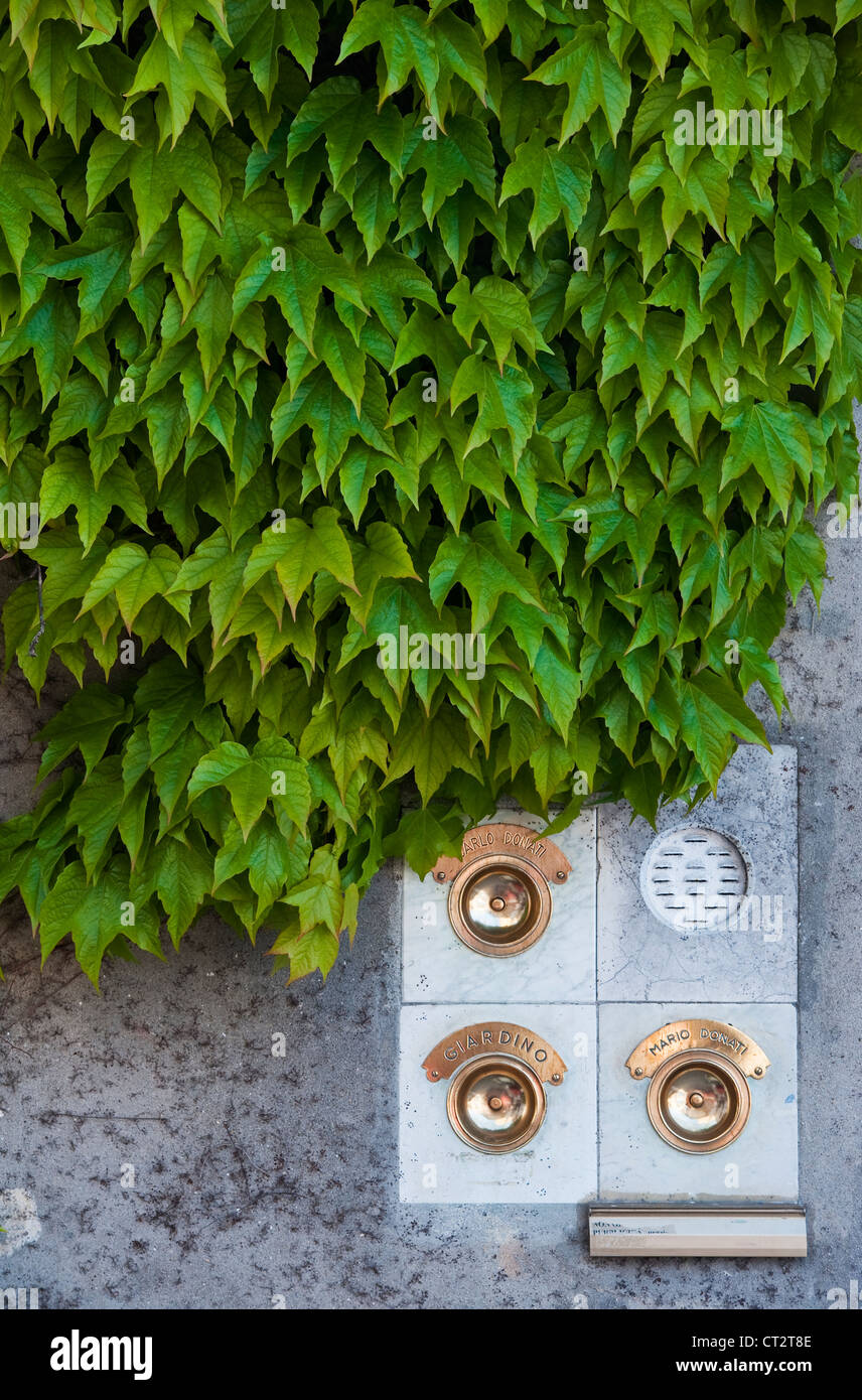 Polished brass doorbells at a garden gate, Venice, Italy Stock Photo
