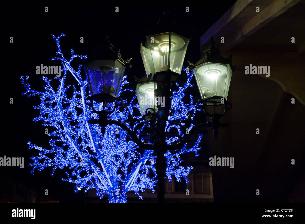 urban outdoor electric lantern and blue illuminated tree at night Stock