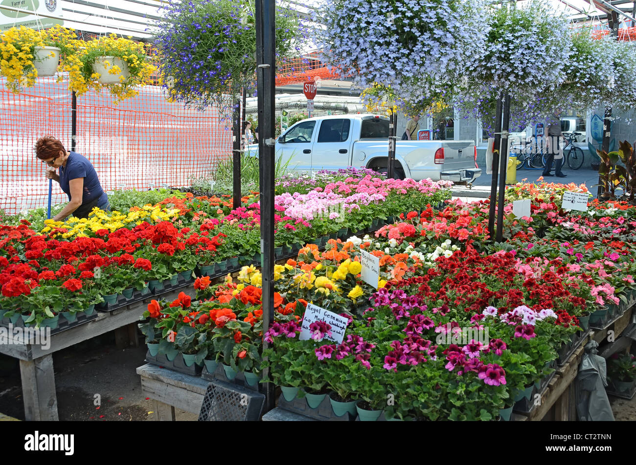 Flower stall hires stock photography and images Alamy