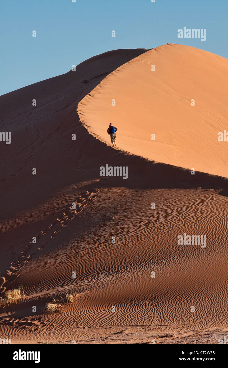 Sand dune in the Sahara Desert at Erg Chigaga, Morocco Stock Photo