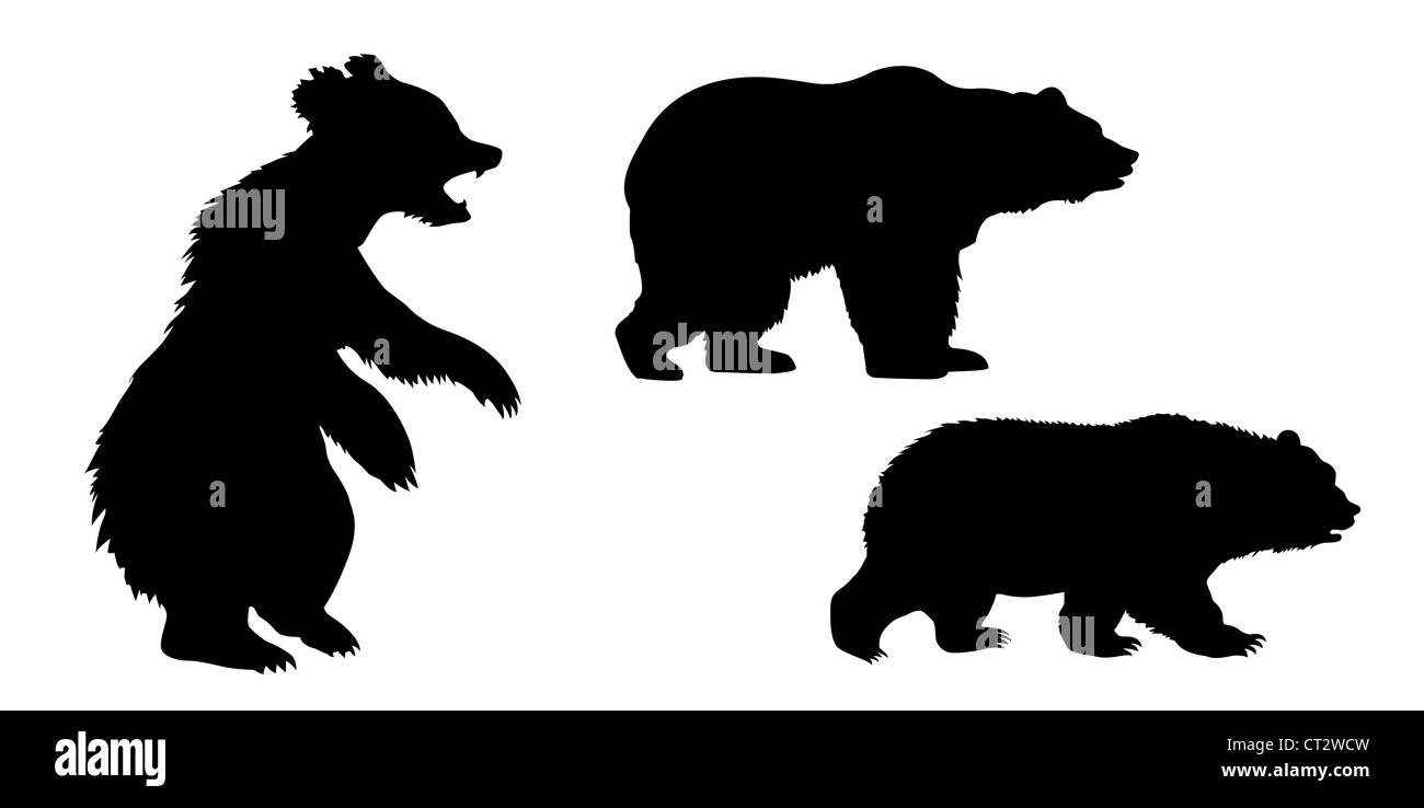 set of the bears on white background Stock Photo