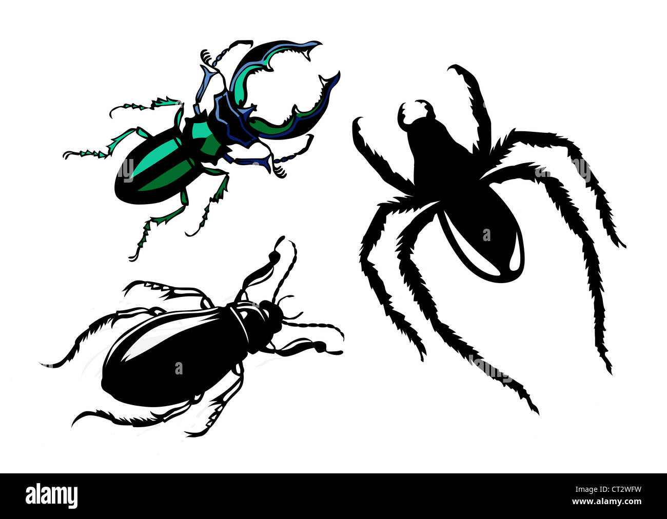 vector silhouette bug on white background Stock Photo - Alamy