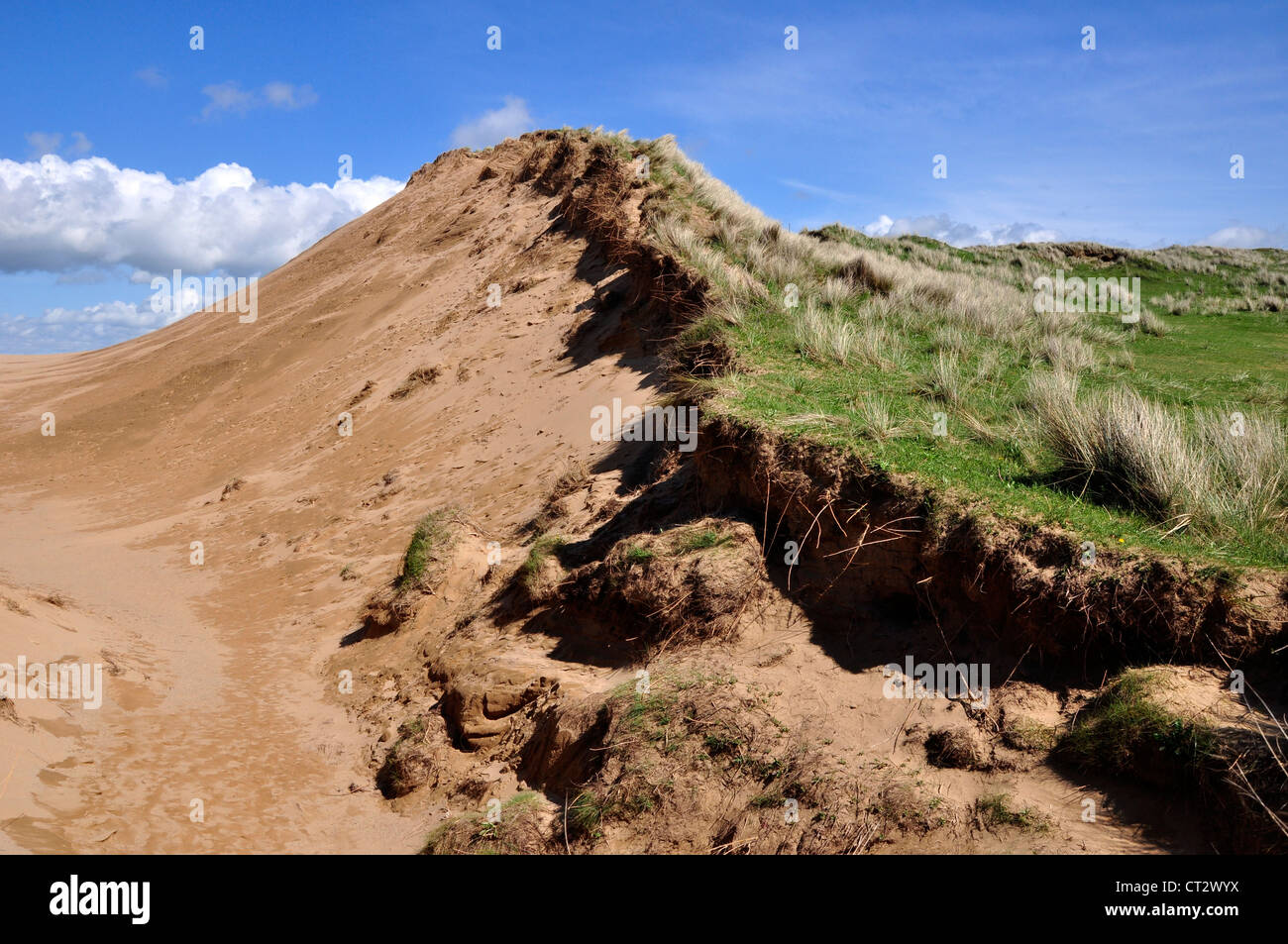 Braunton Burrows Devon sand dune Stock Photo