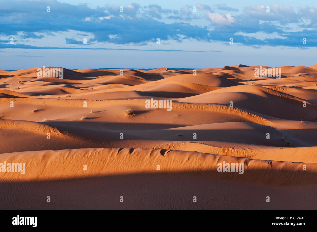 Sand dunes in the sahara desert at sunrise hi-res stock photography and ...