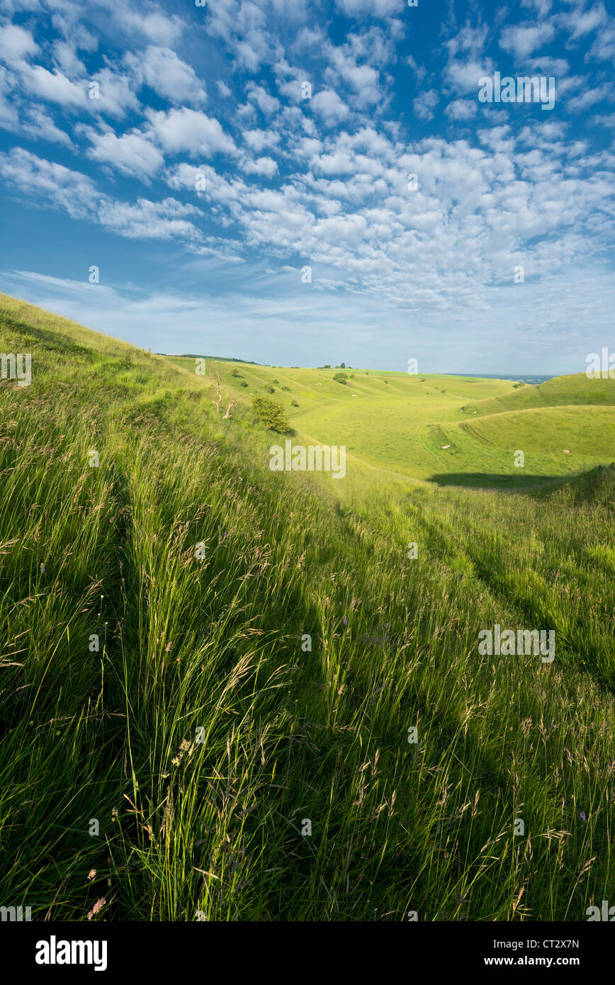 Chalk downland at Calstone Coombes, Wiltshire Stock Photo