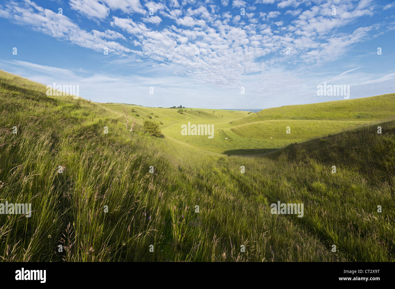 Chalk downland at Calstone Coombes, Wiltshire Stock Photo