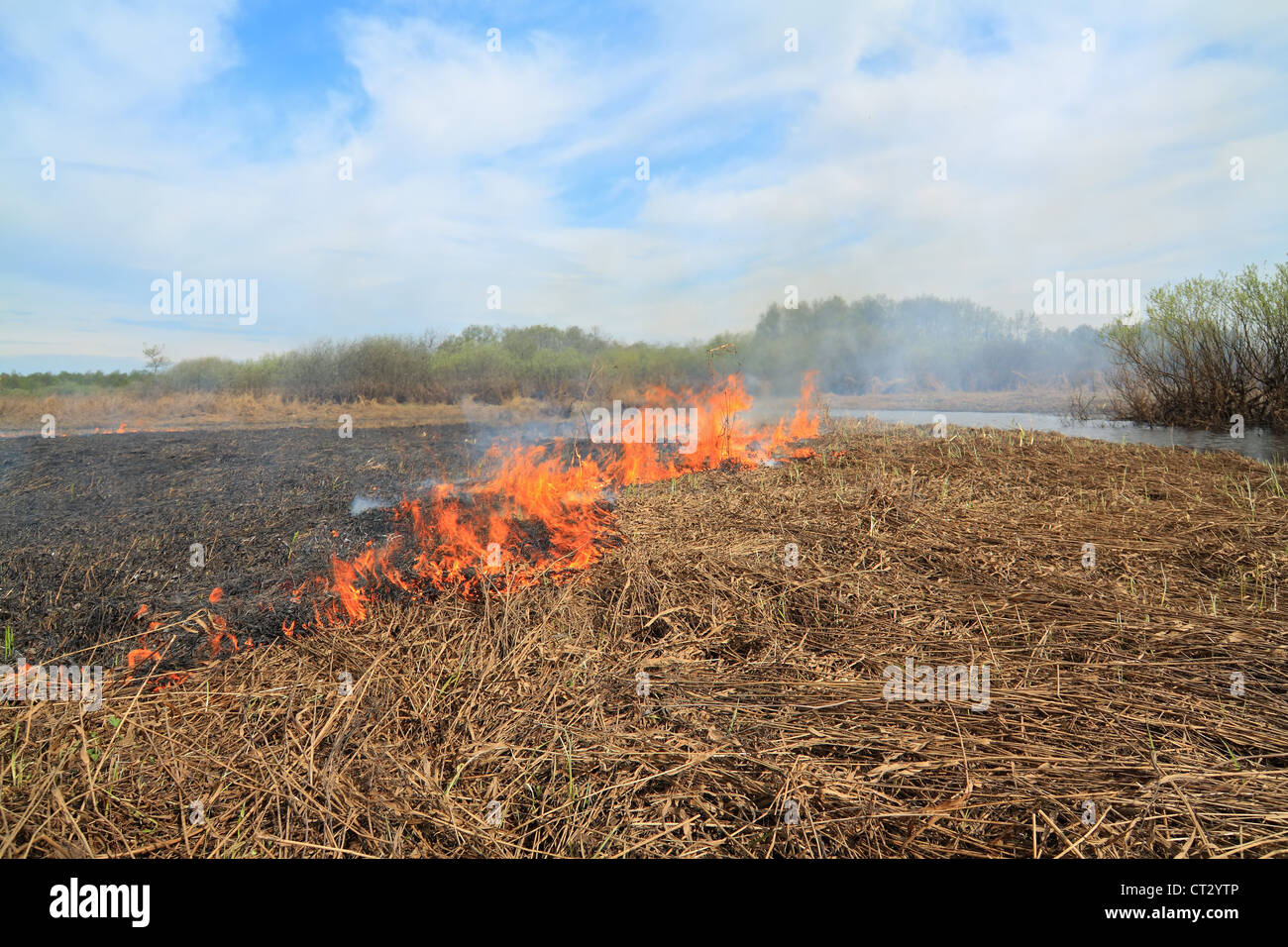 red fire in dry herb Stock Photo Alamy