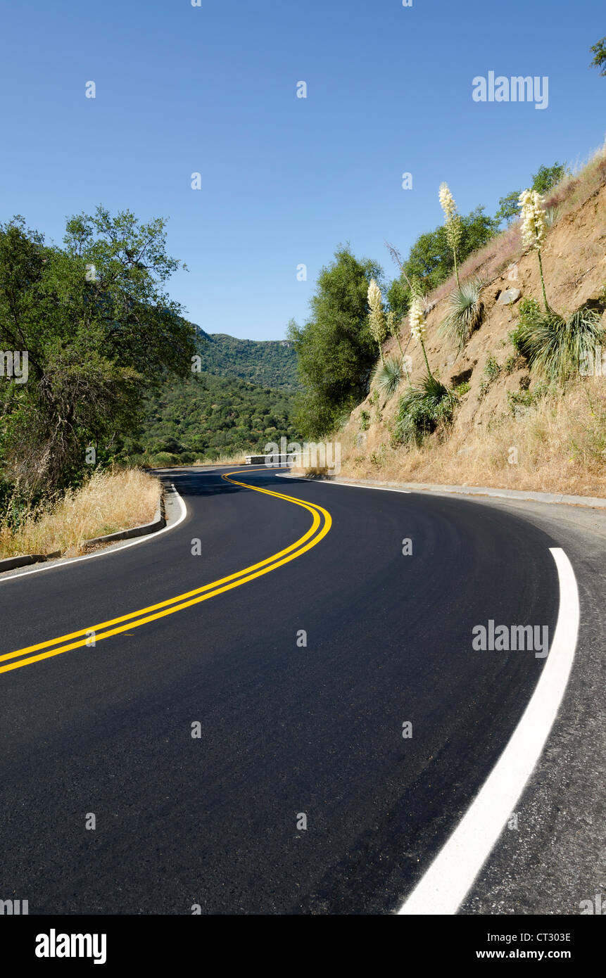 road with curves in Sequoia National Park in California in the United States of America Stock Photo