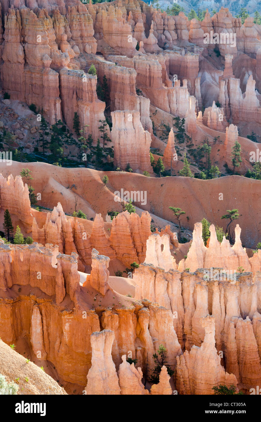 lights at sunrise in the park of Bryce Canyon in Utah Stock Photo