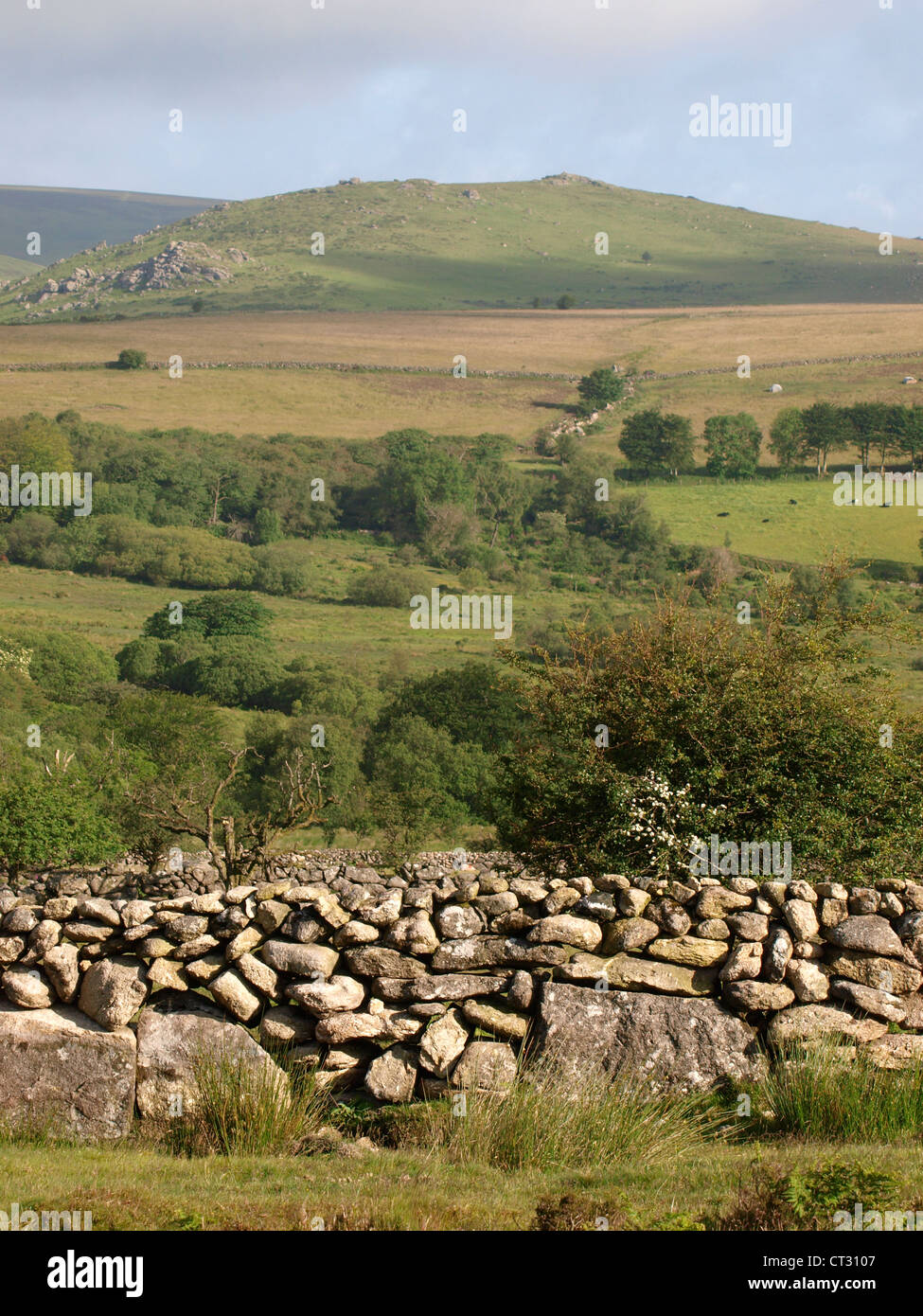 Old stone wall, Dartmoor, Devon, UK Stock Photo
