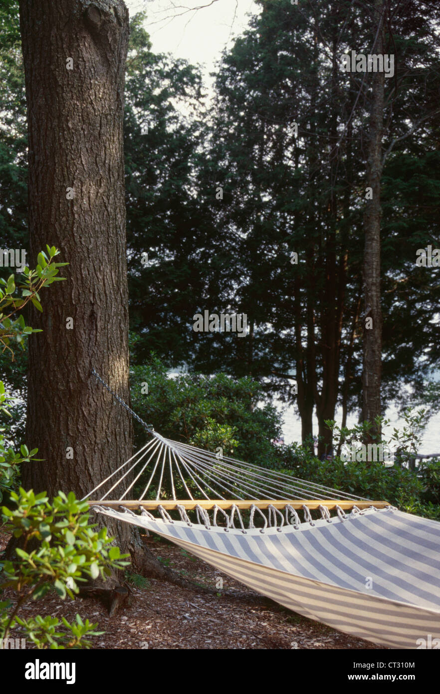 A hammock tied up to the tree in the Adirondacks in upstate New York. Stock Photo
