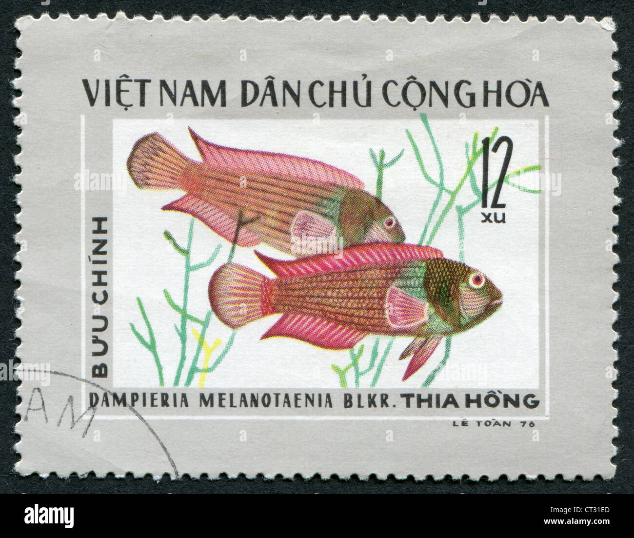 VIETNAM-CIRCA 1976: A stamp printed in the Vietnam, depicts a tropical fish Dampieria Melanotaenia BLKR., circa 1976 Stock Photo