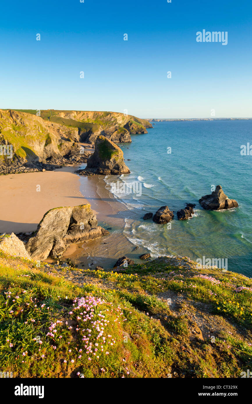 Bedruthan Steps; Cornwall; UK Stock Photo