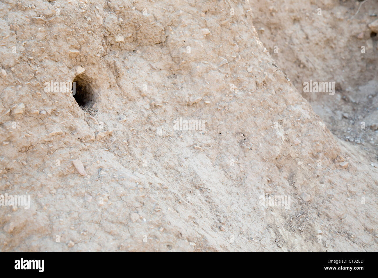 Bee Eater Hole; bank; Spain Stock Photo