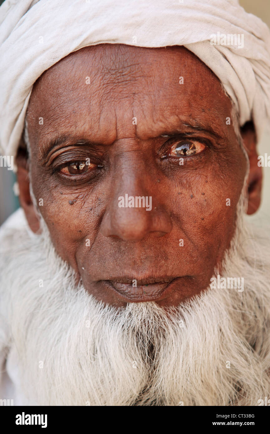 Portrait Of Senior Man, Dehradun, Uttar Pradesh Stock Photo