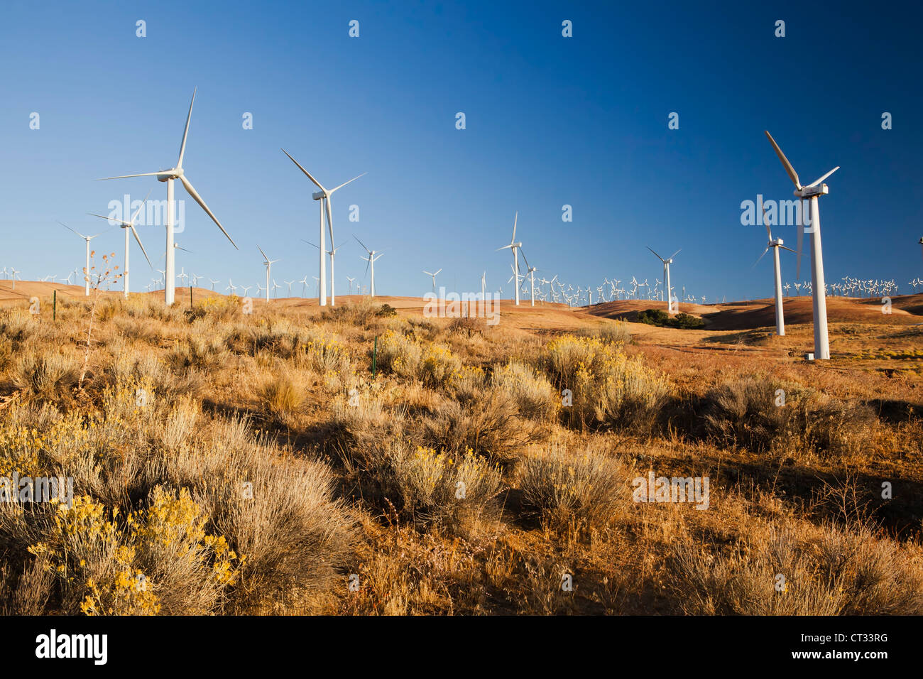 Wind turbines just outside Mojave, California, USA Stock Photo