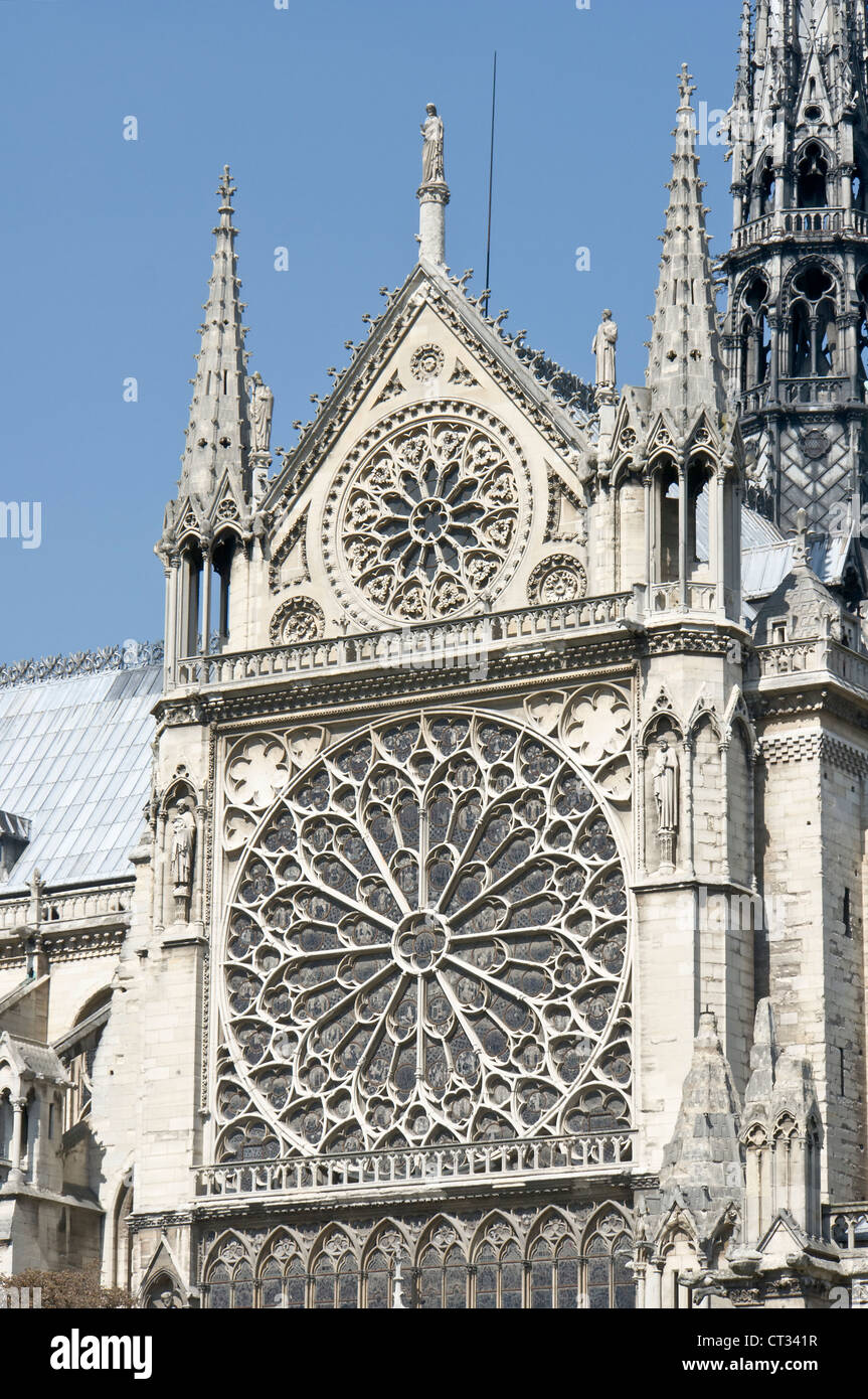 Rose windows, transept of Notre Dame, Paris Stock Photo 49241523 Alamy