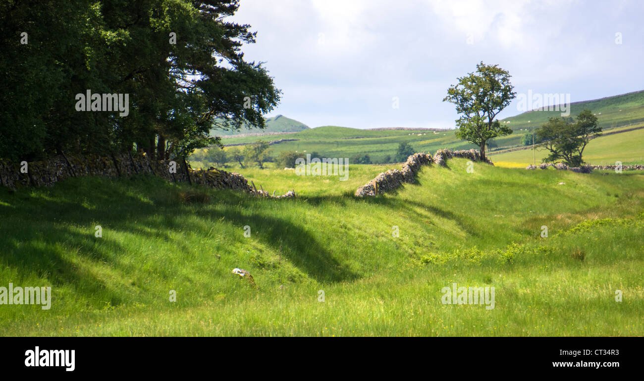 The ditch that runs alongside Hadrian's Wall, known as a Vallum. The wall has long since gone but the Vallum still remains. Stock Photo