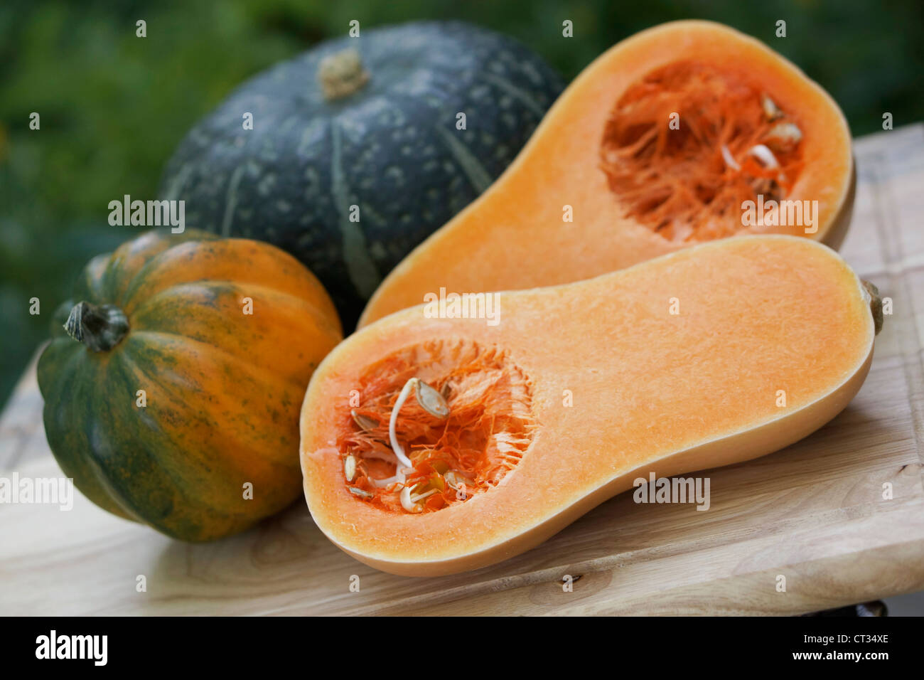 Squash Butternut  Acorn and Buttercup Squash, Whole Vegetable Squashes Stock Photo