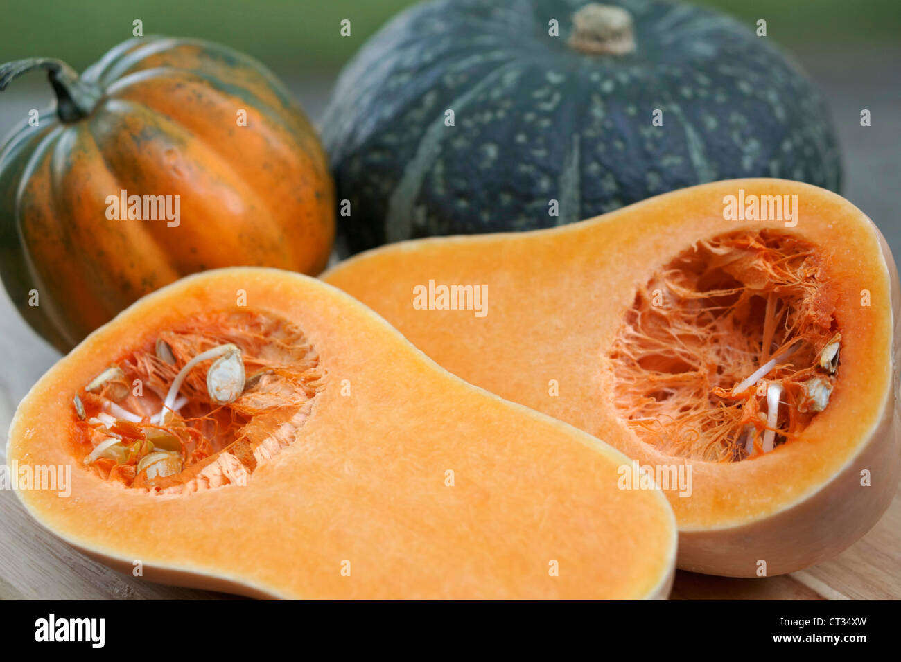 Squash, Butternut Acorn and Buttercup Vegetable Squashes Stock Photo