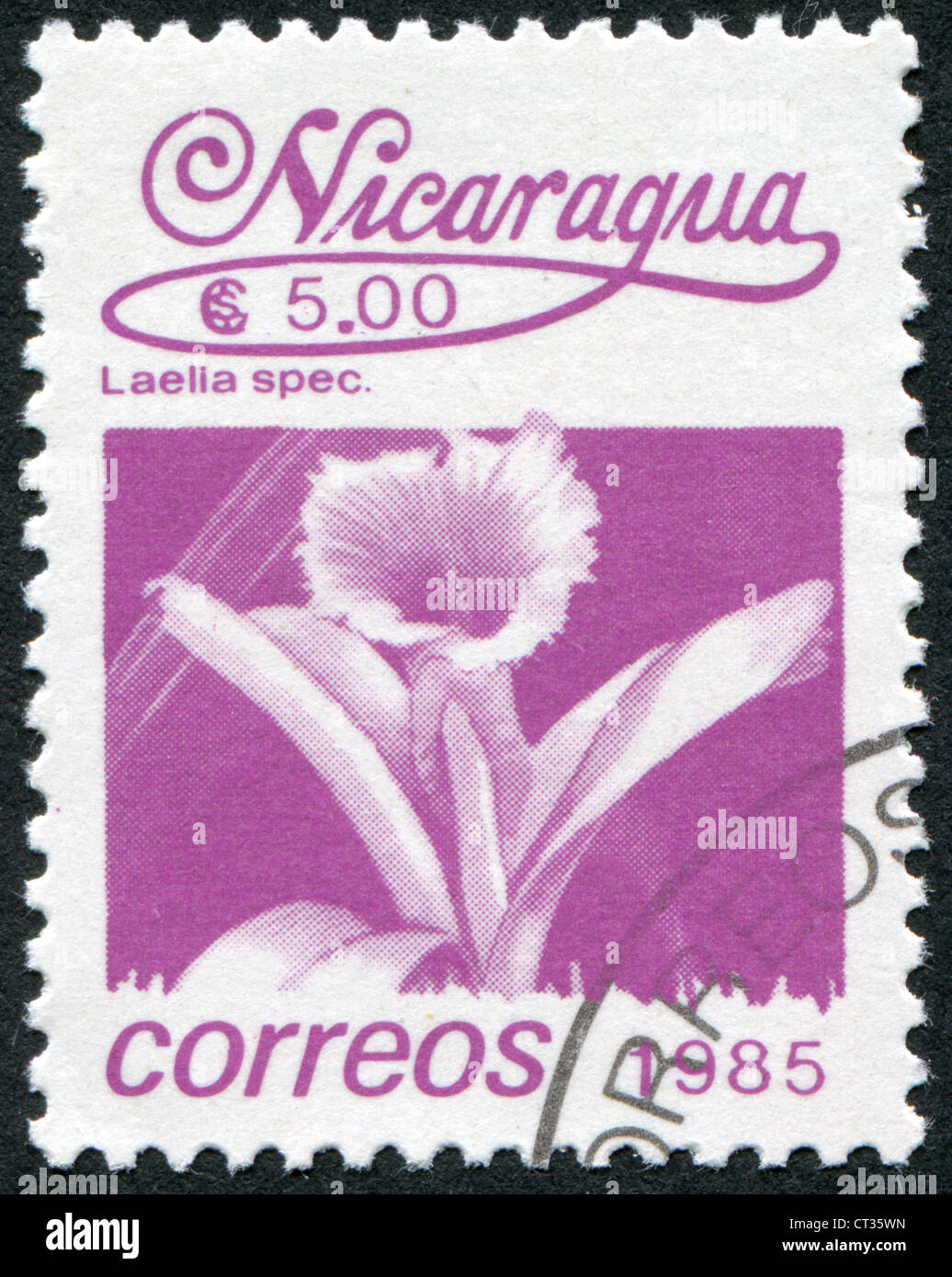 NICARAGUA - CIRCA 1985: Postage stamps printed in Nicaragua, shows tropical flower Laelia speciosa, circa 1985 Stock Photo