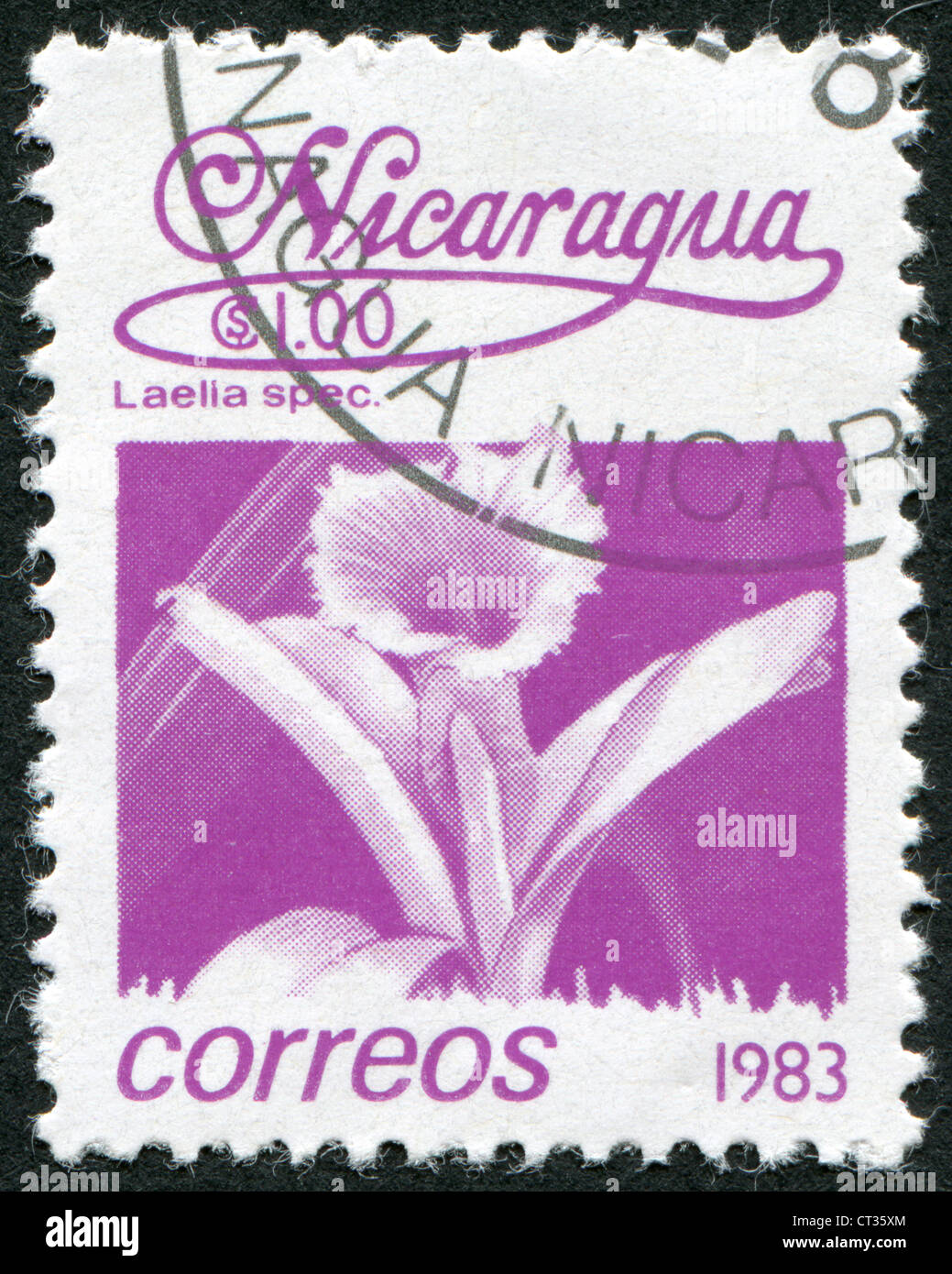 NICARAGUA - CIRCA 1983: Postage stamps printed in Nicaragua, shows tropical flower Laelia speciosa, circa 1983 Stock Photo