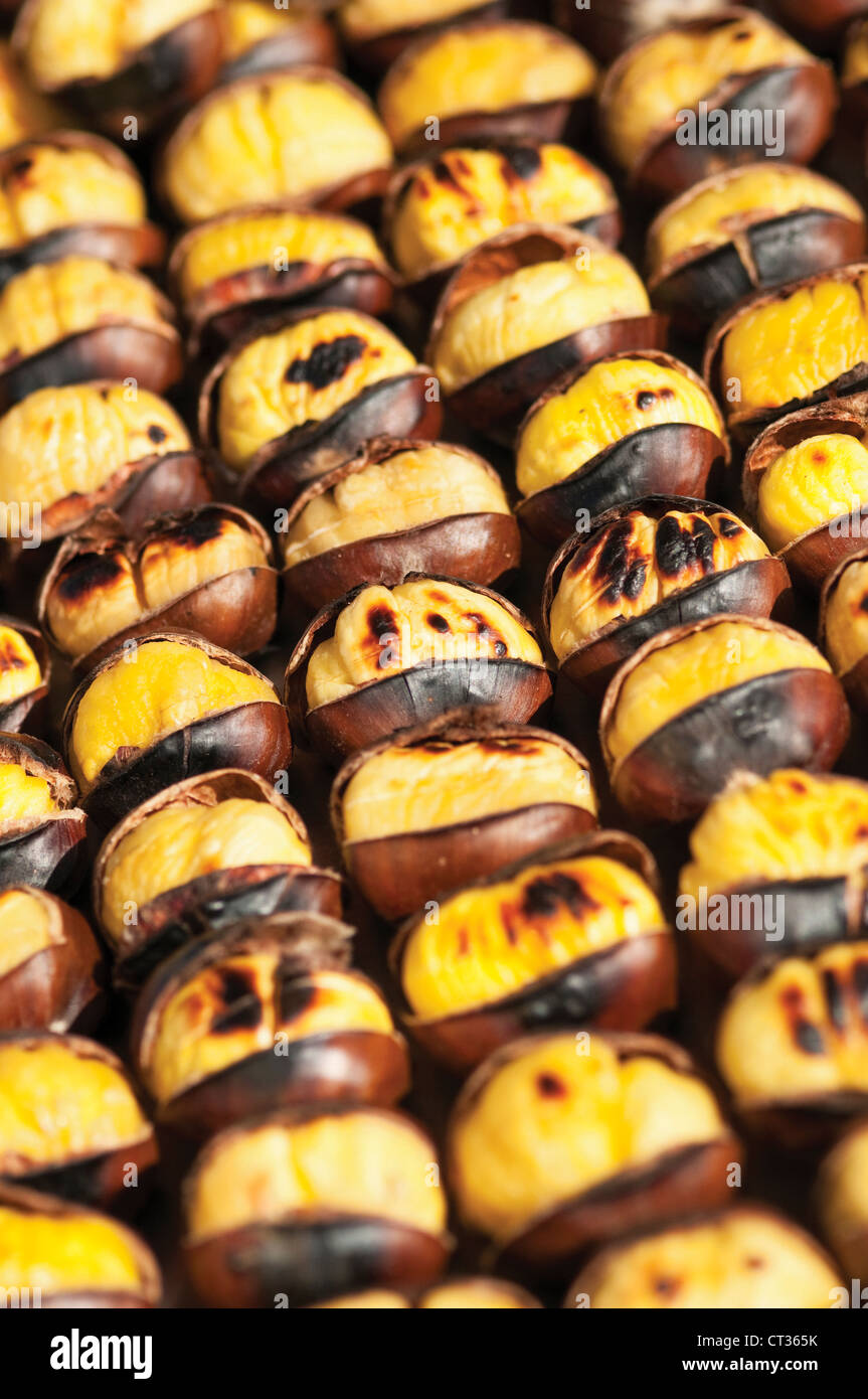 Castanea sativa, Chestnut, Sweet chestnut Stock Photo